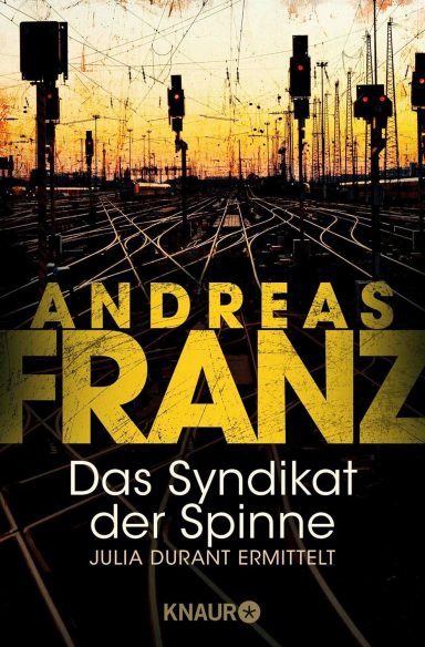 Das Syndikat der Spinne: Andreas Franz