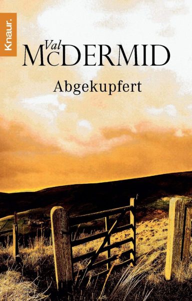 Abgekupfert: Crime Stories